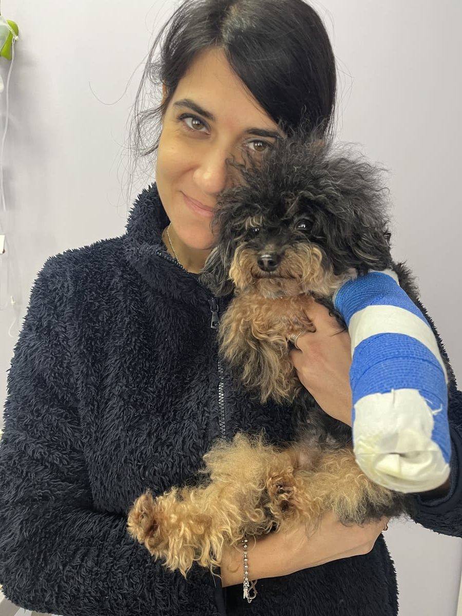 veterinario roma con un cane