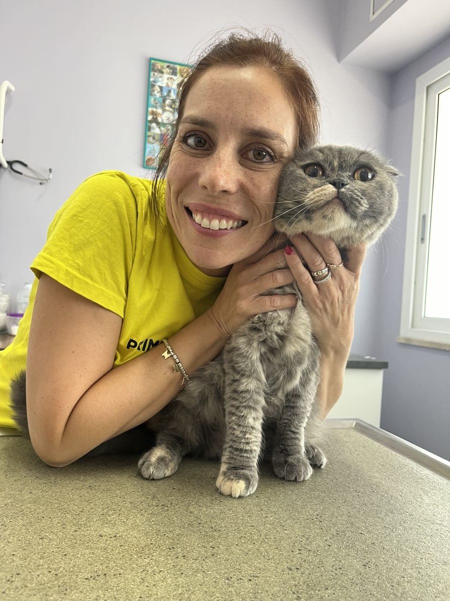 veterinario roma con un gatto