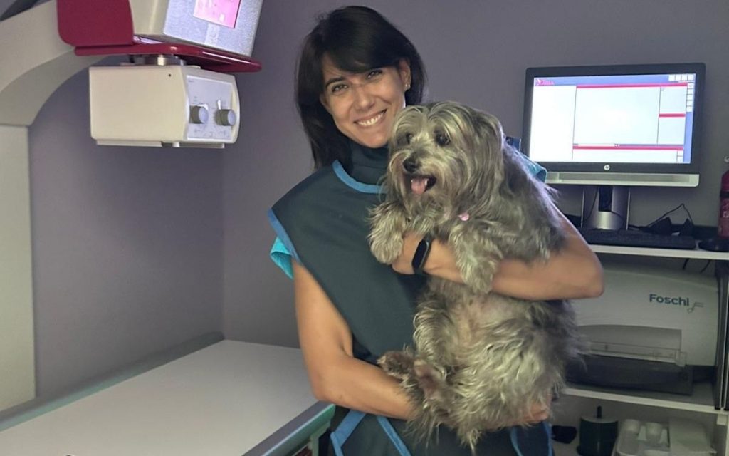 veterinario roma ambulatorio kant con un cane