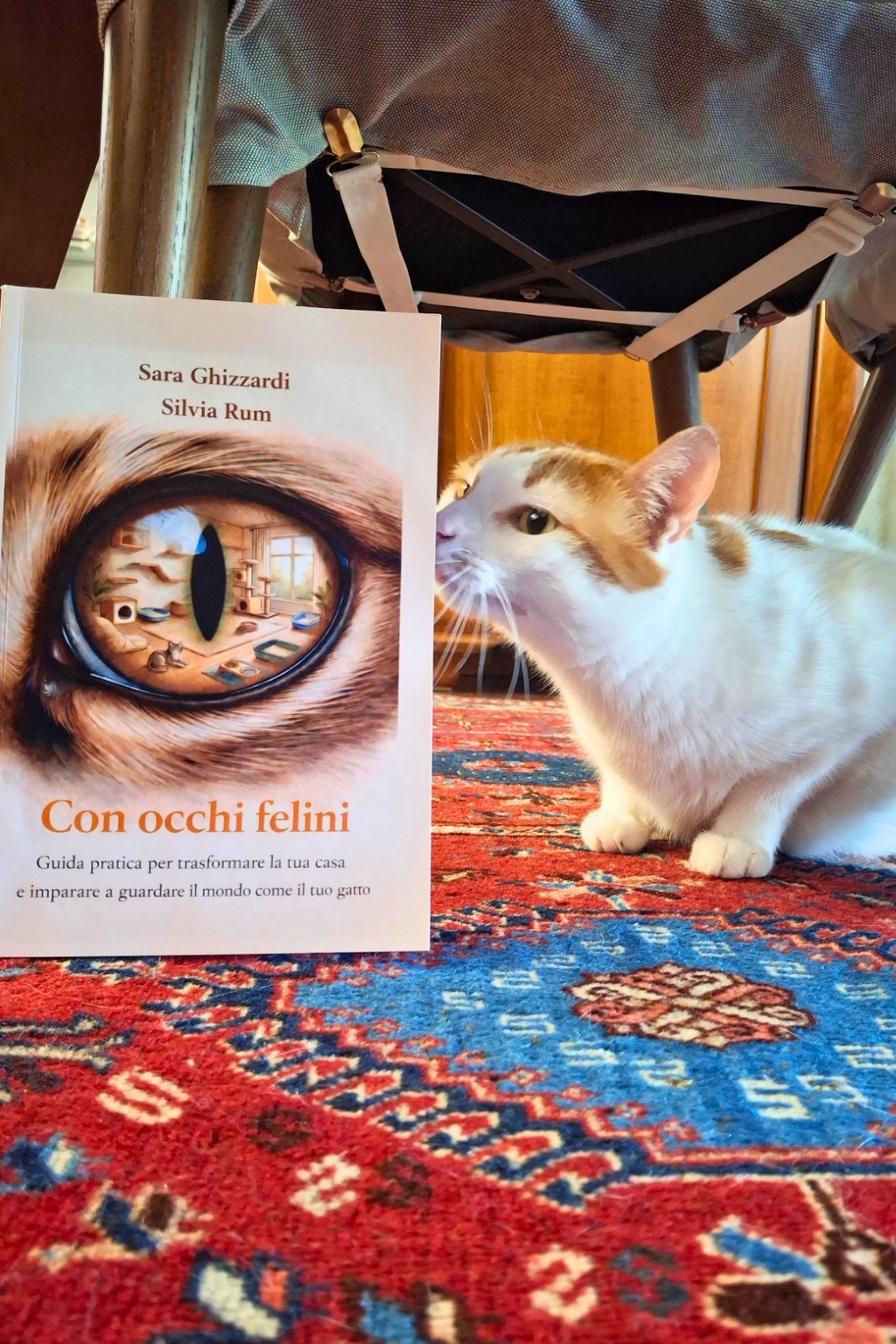 gatti e libro felini ambulatorio kant roma
