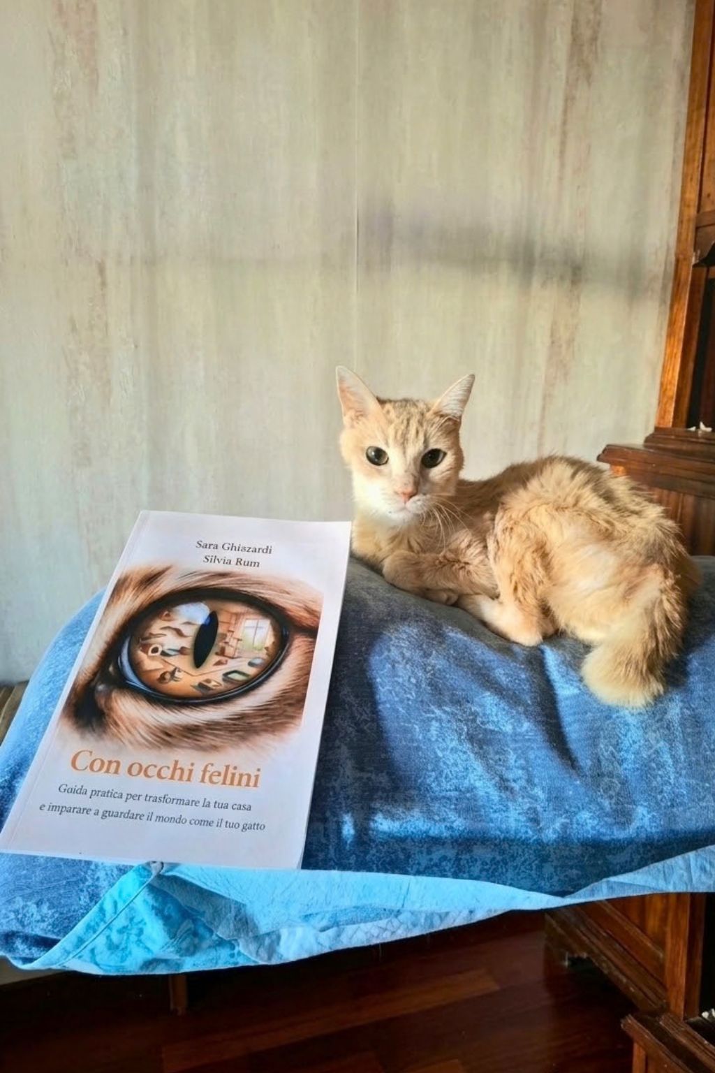 libro ambulatorio kant gattino