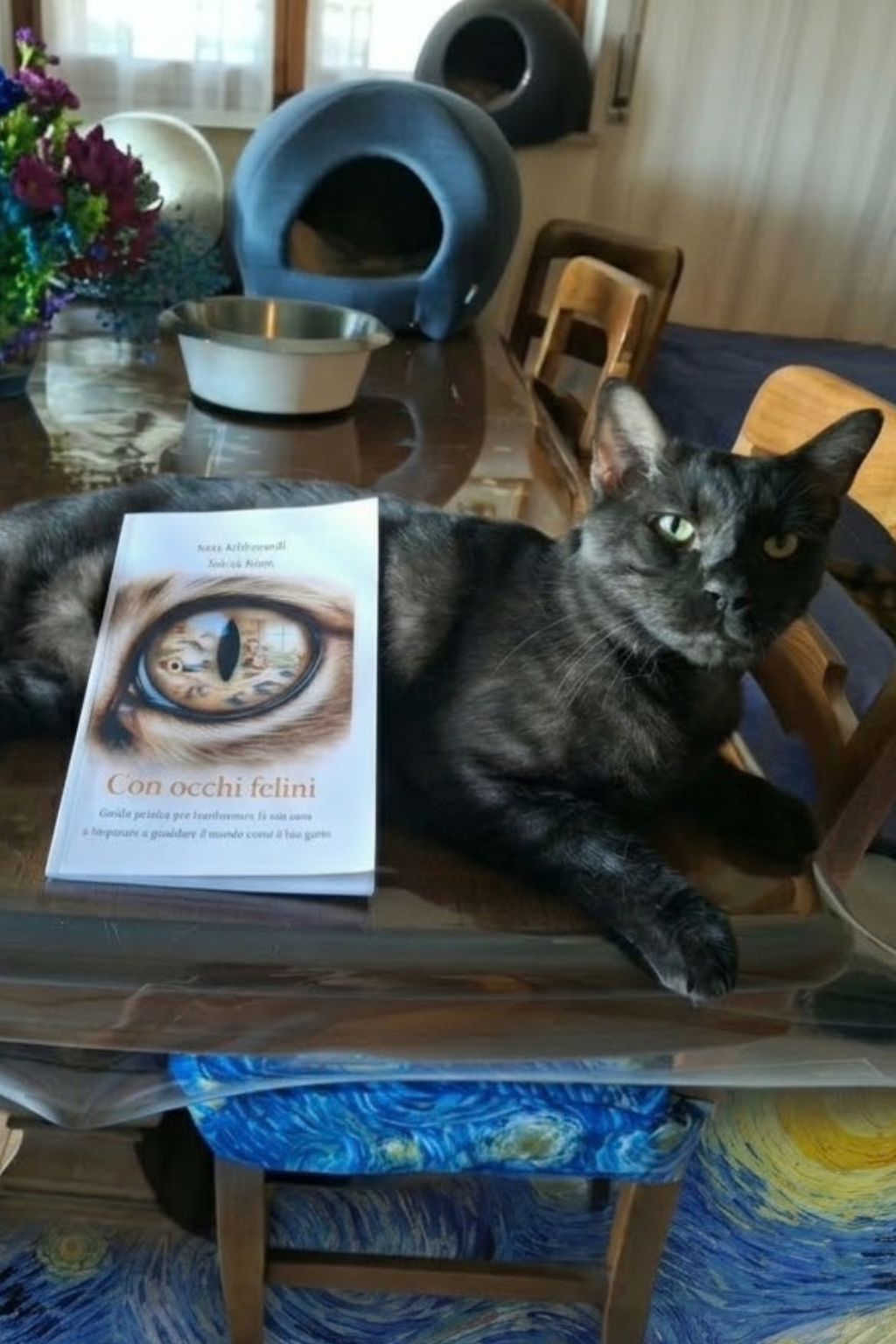 gattone su libro ambulatorio veterinario roma